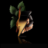 عطر کارولینا هررا بد بوی | ۳۵ml